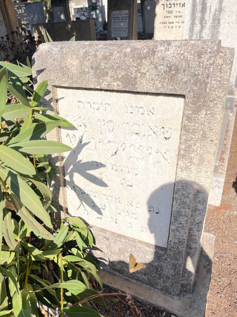 קברו של טאובה סין איציק איציקוביץ. תמונה 2