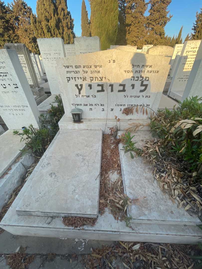 קברו של יצחק אייזיק ליבוביץ. תמונה 1