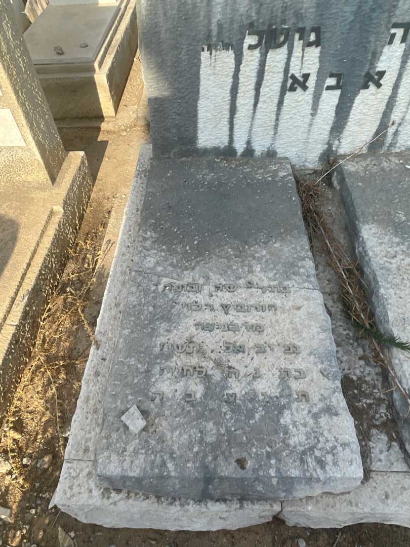 קברו של בוניה הורוביץ הלוי. תמונה 2