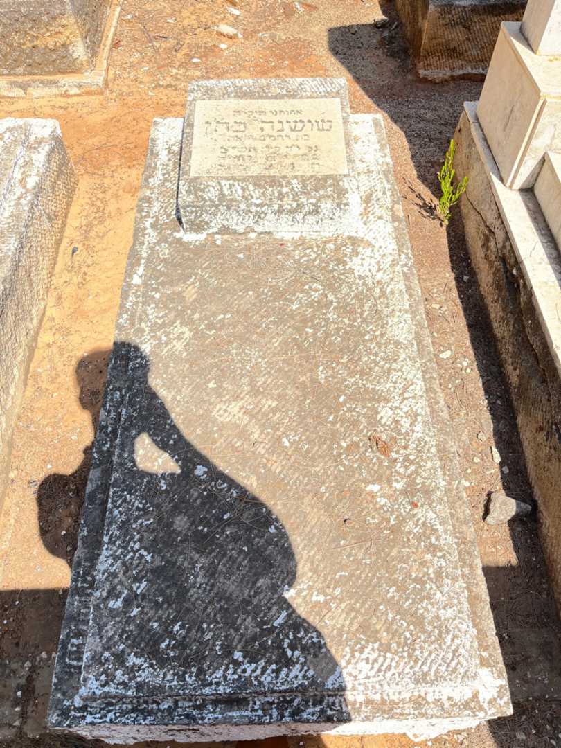 קברו של שושנה כהן. תמונה 1
