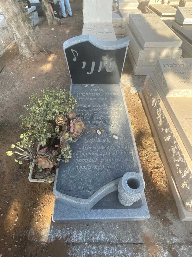 קברו של טוני שטייניץ. תמונה 1