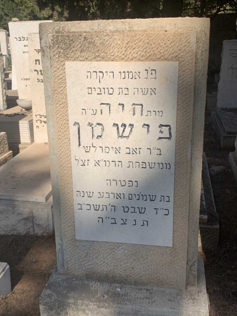 קברו של חיה פישמן. תמונה 1