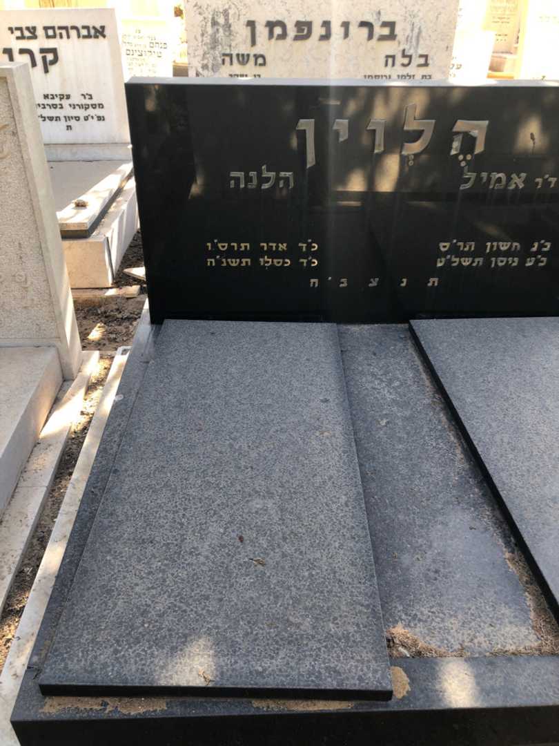 קברו של הלנה הלוין. תמונה 1