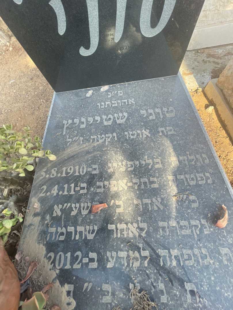 קברו של טוני שטייניץ. תמונה 2