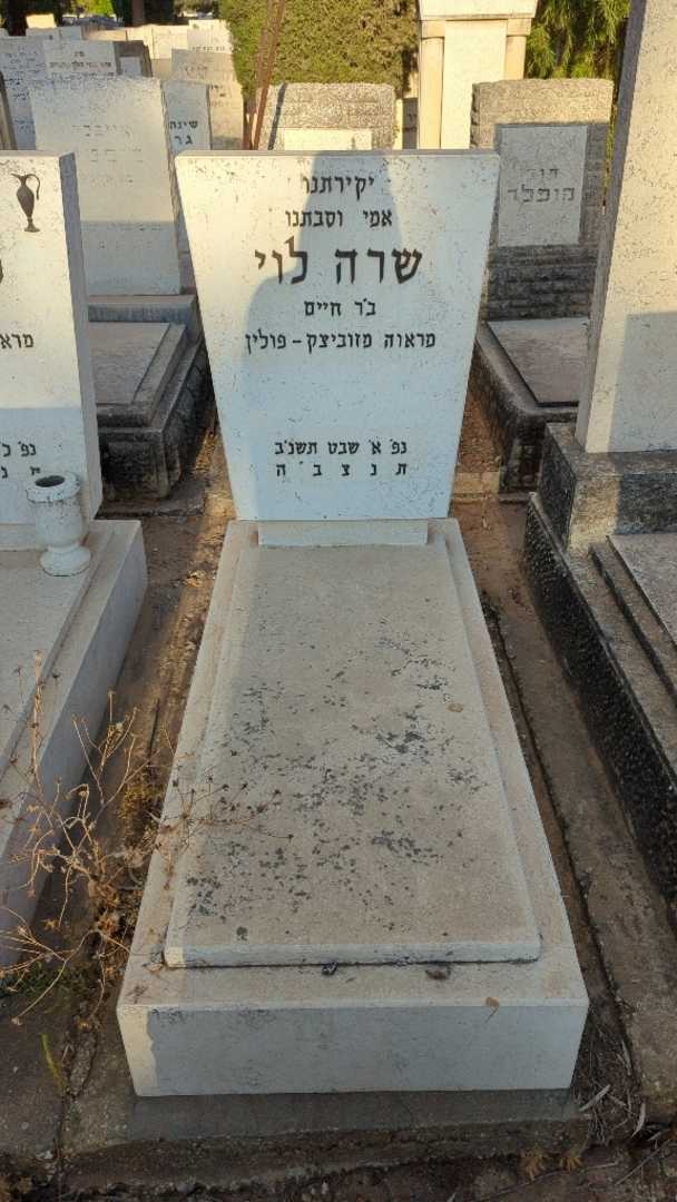 קברו של שרה לוי