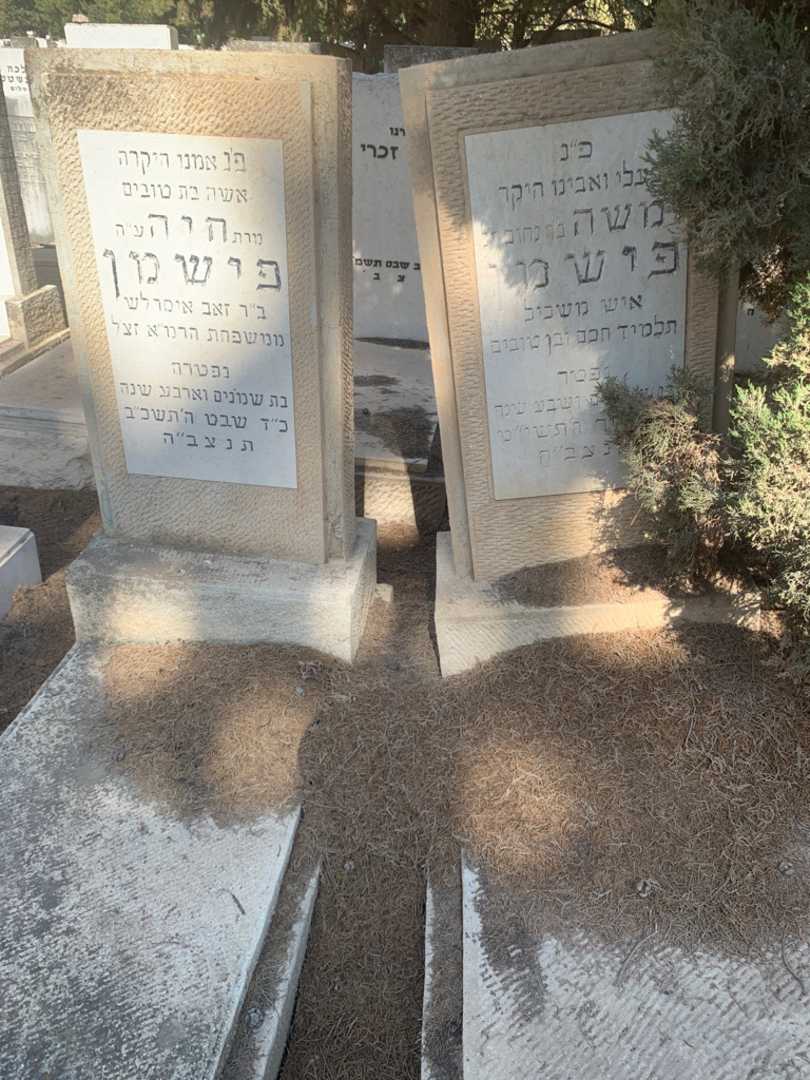 קברו של חיה פישמן. תמונה 2