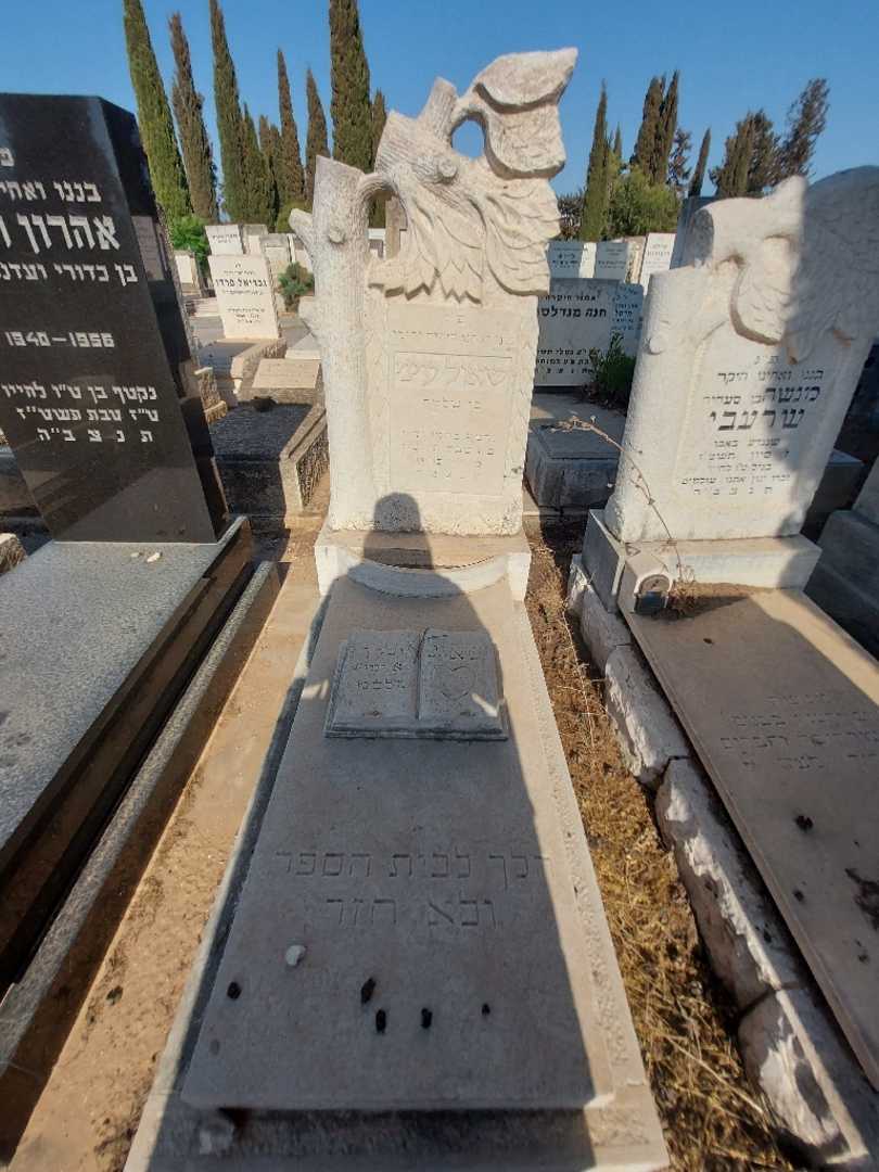 קברו של שאול עיני. תמונה 1