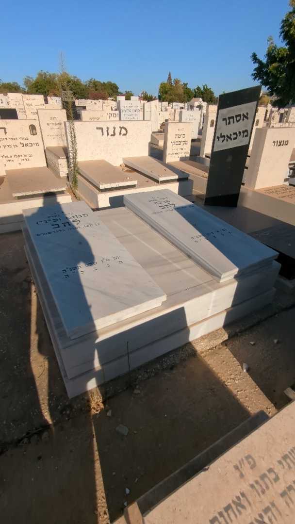 קברו של פנחס "פיני" להב. תמונה 2
