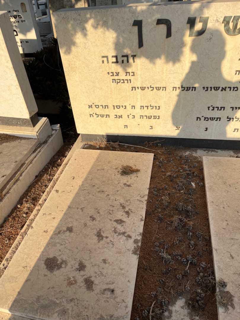 קברו של זהבה שטרן. תמונה 1