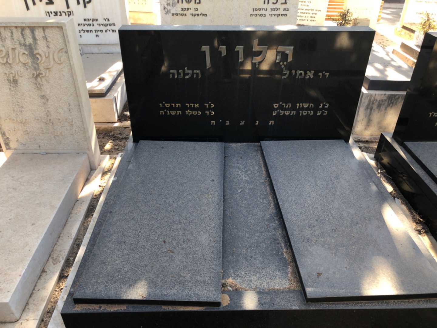 קברו של הלנה הלוין. תמונה 2