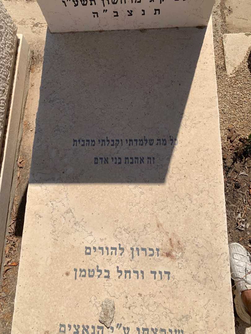 קברו של מנשה בלטמן. תמונה 3