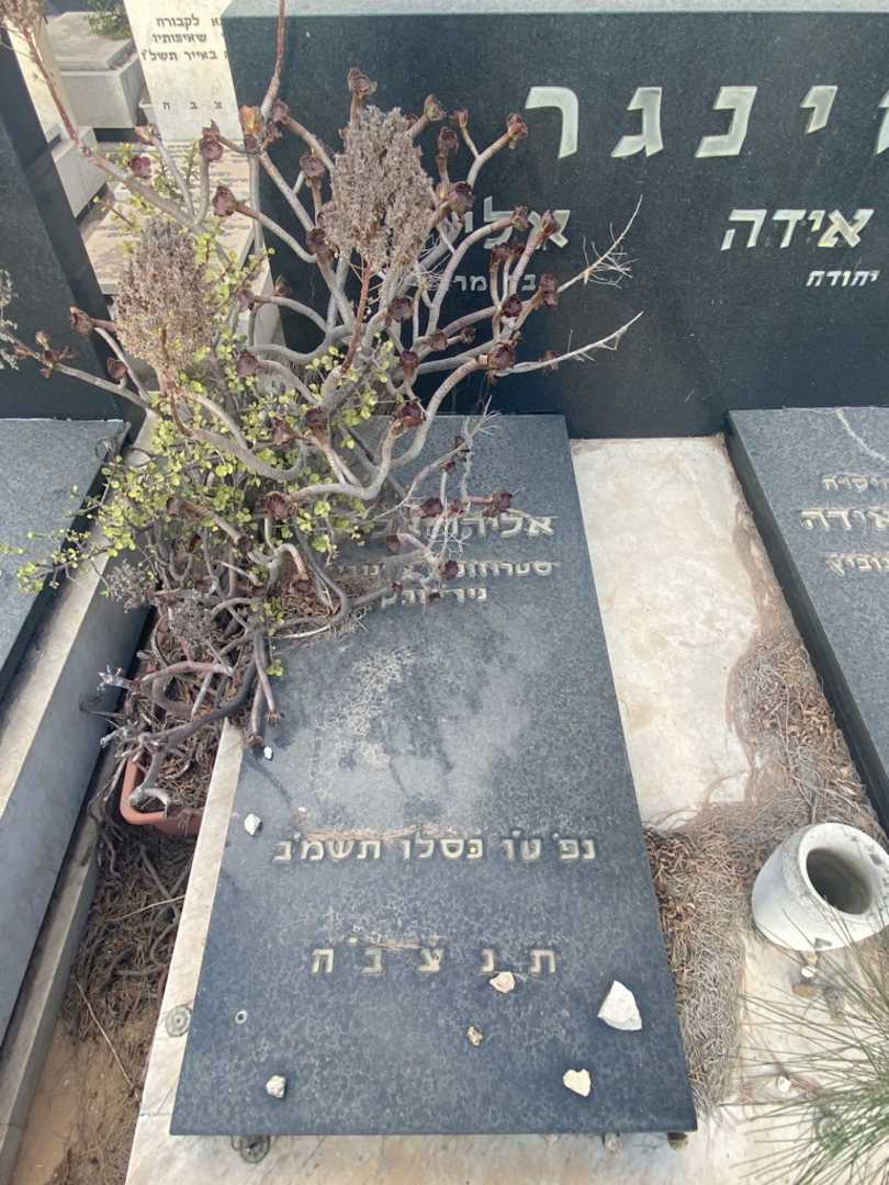 קברו של אליהו זינגר. תמונה 2