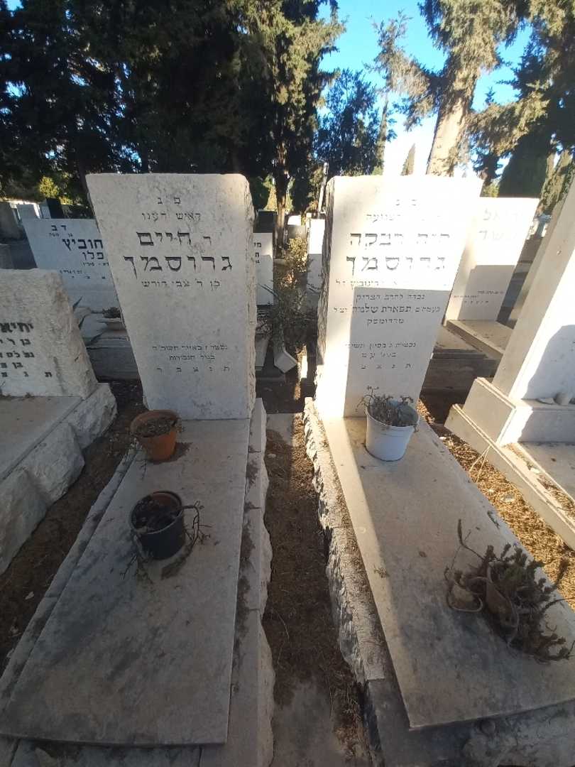 קברו של חיים גרוסמן. תמונה 2