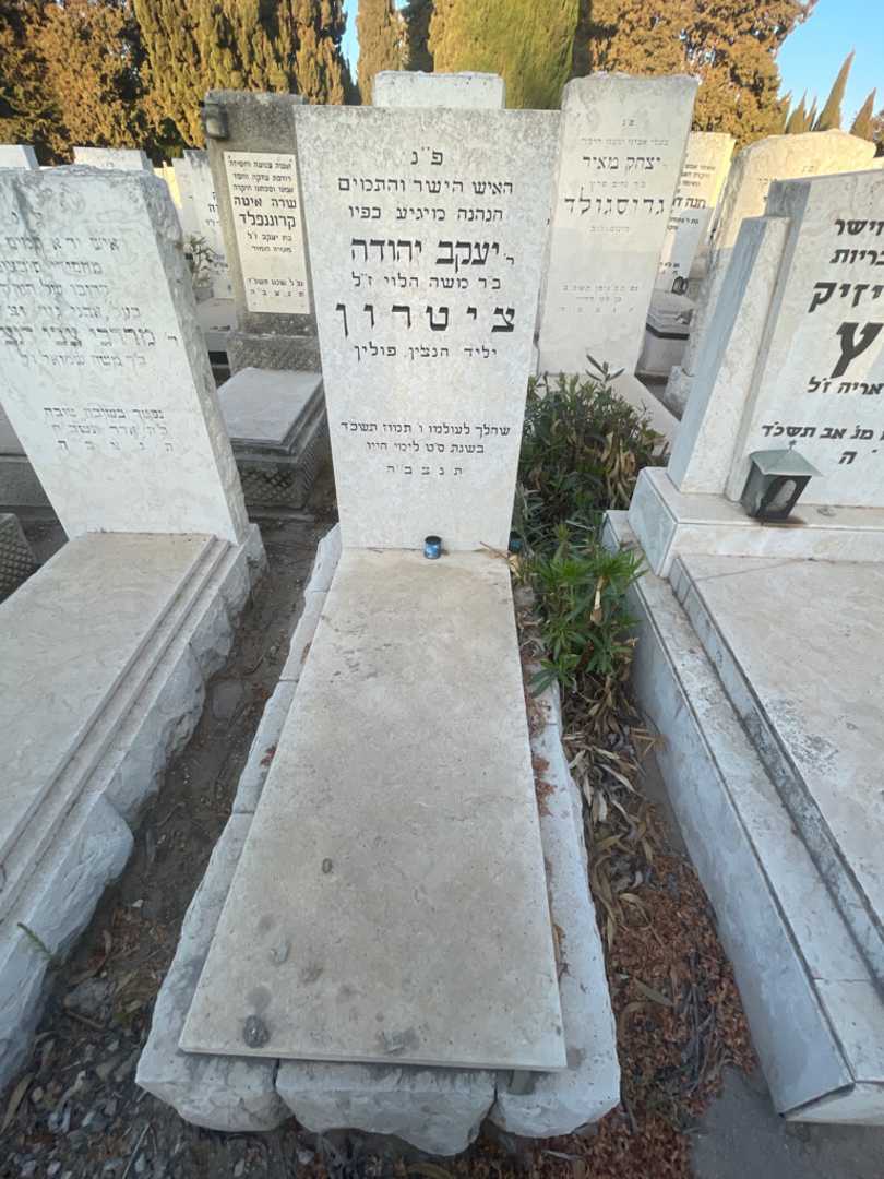 קברו של יעקב יהודה ציטרון