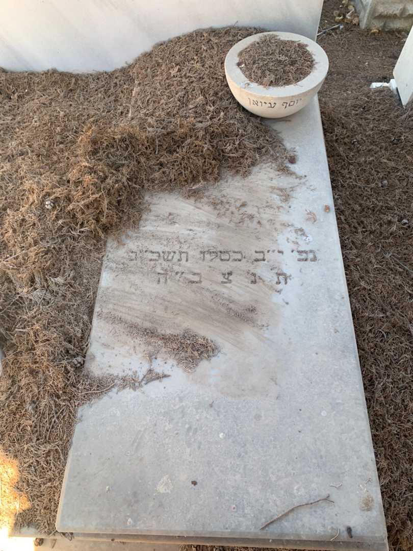 קברו של יוסף עיואן גרמן. תמונה 2