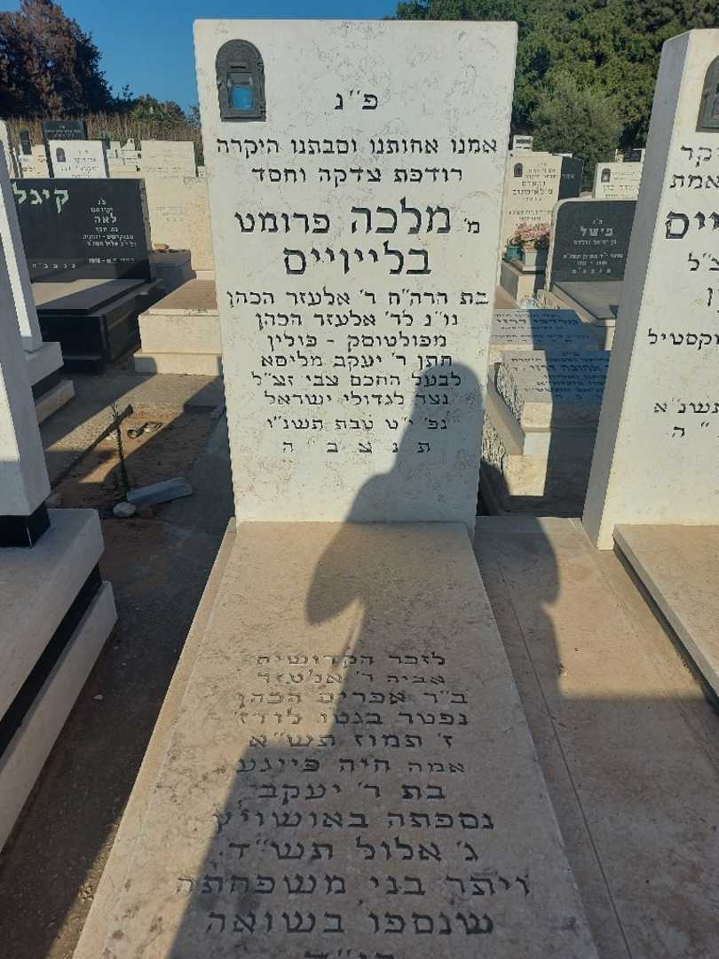 קברו של אלטזר הכהן. תמונה 2