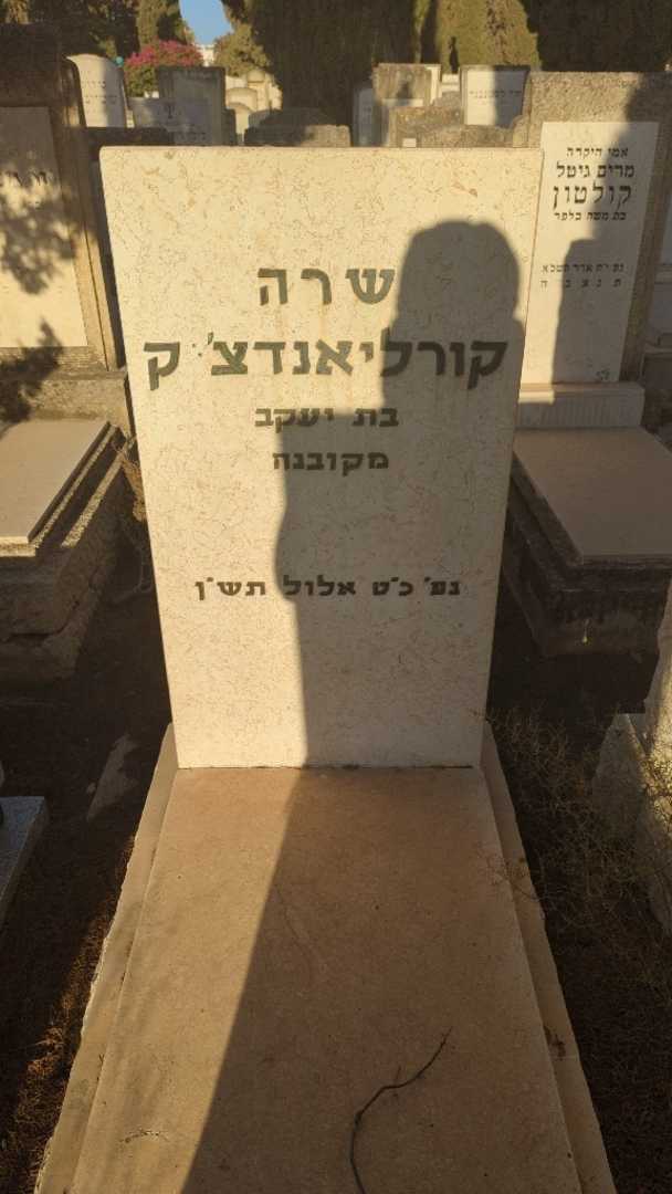 קברו של שרה קורליאנדצ'יק