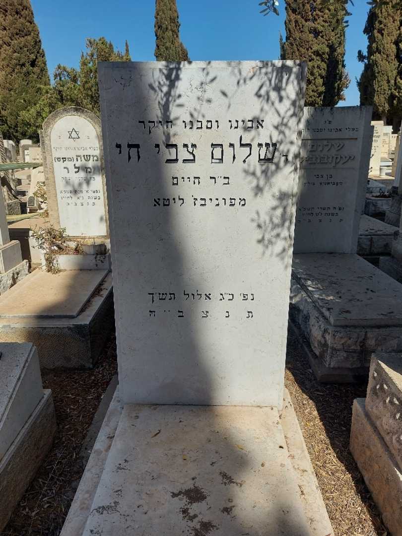 קברו של שלום צבי חי