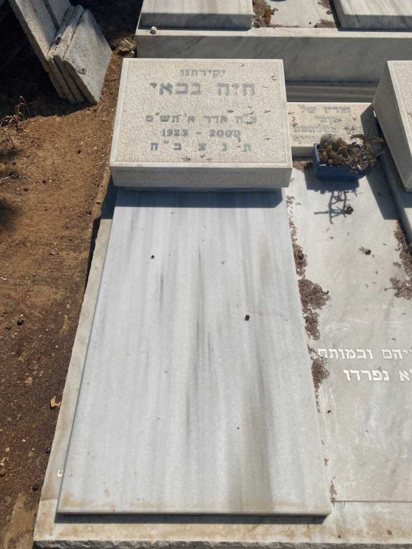 קברו של חיה גבאי. תמונה 1