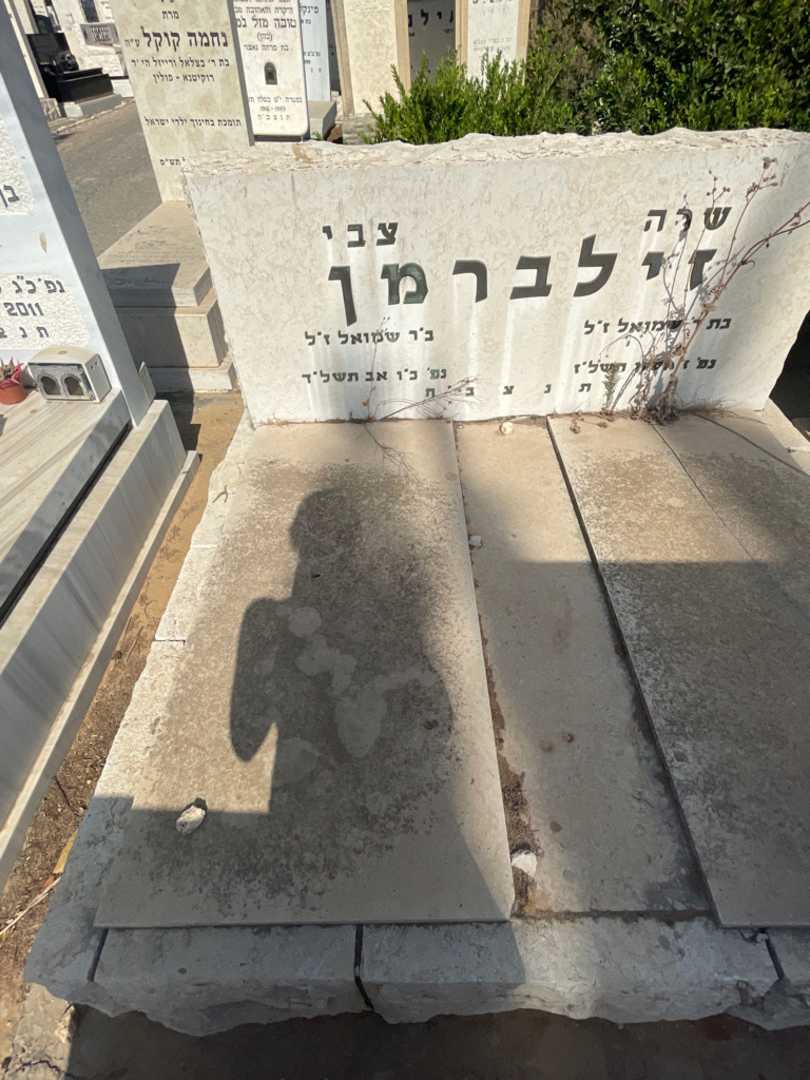 קברו של צבי זילברמן. תמונה 2