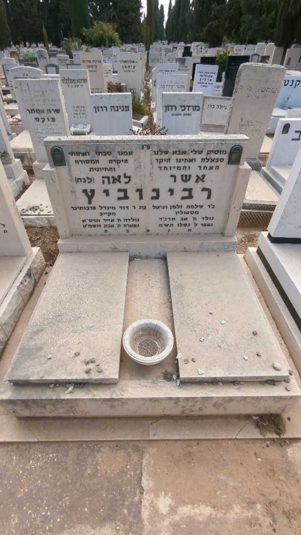 קברו של אשר רבינוביץ. תמונה 2