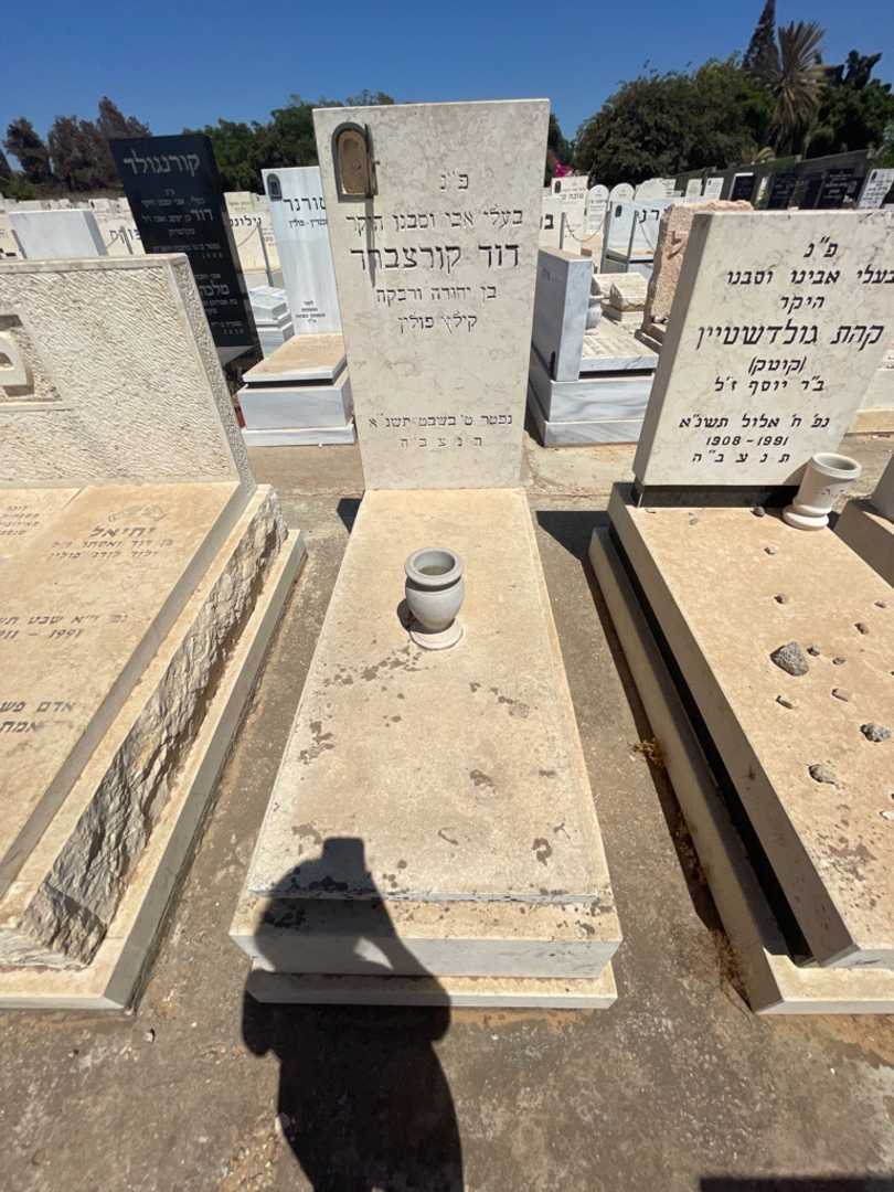 קברו של דוד קורצברד