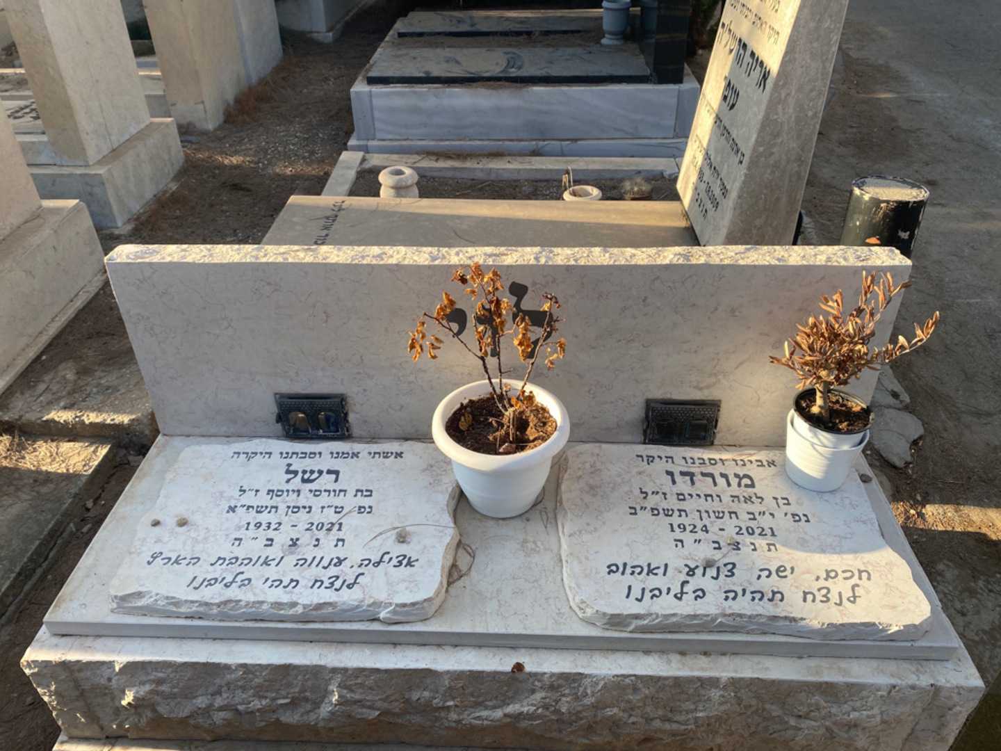 קברו של מורדו לוי