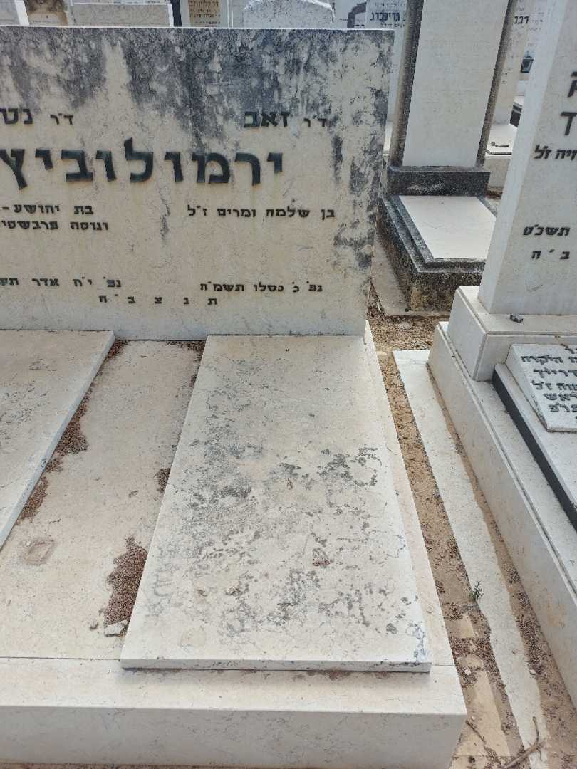 קברו של זאב ירמולוביץ. תמונה 1