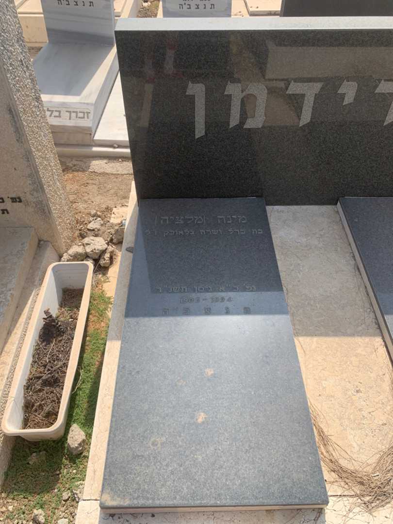 קברו של מינה "מלציה" פרידמן. תמונה 1