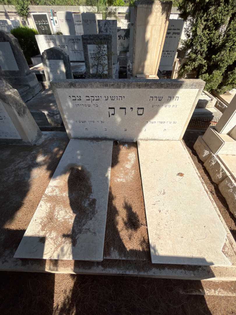 קברו של יהושע יעקב צבי סירק. תמונה 2