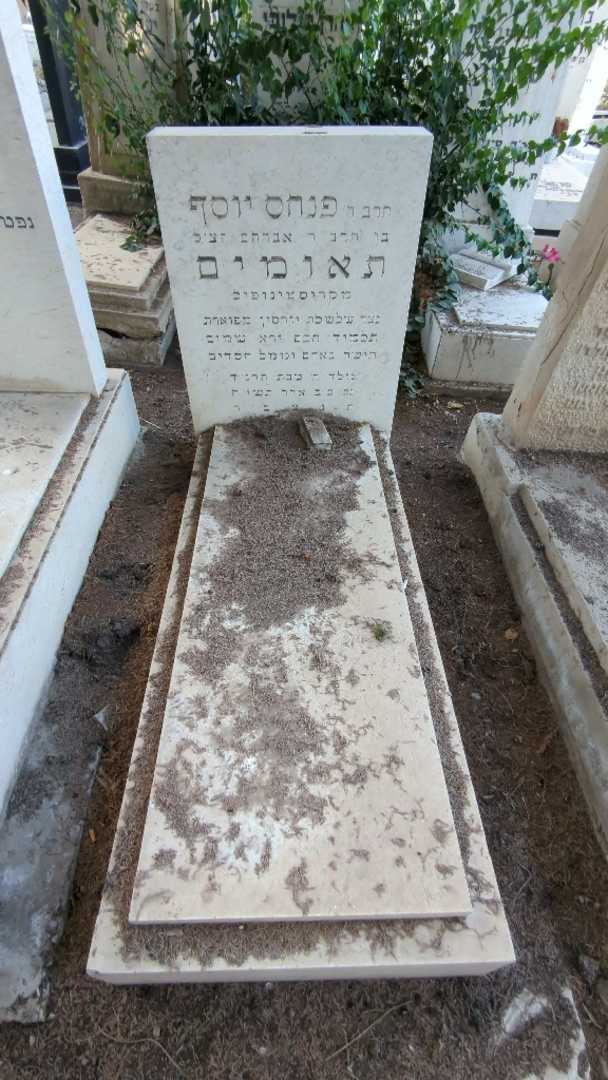 קברו של פנחס יוסף תאומים