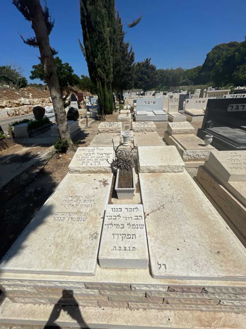 קברו של ישראל לבבי (גרצמן). תמונה 1