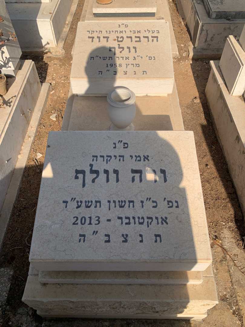 קברו של הרברט דוד וולף