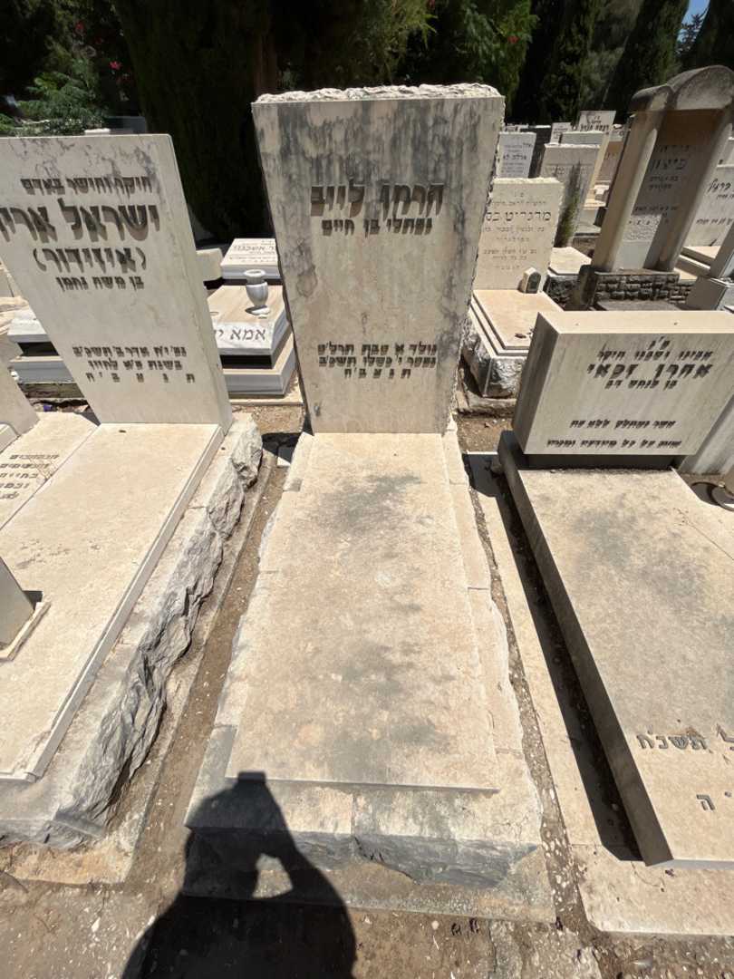 קברו של הרמן לייב