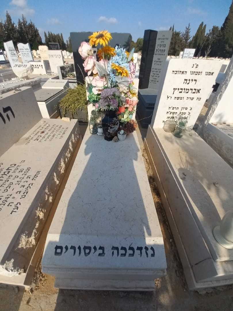 קברו של חיה הר טוב. תמונה 1