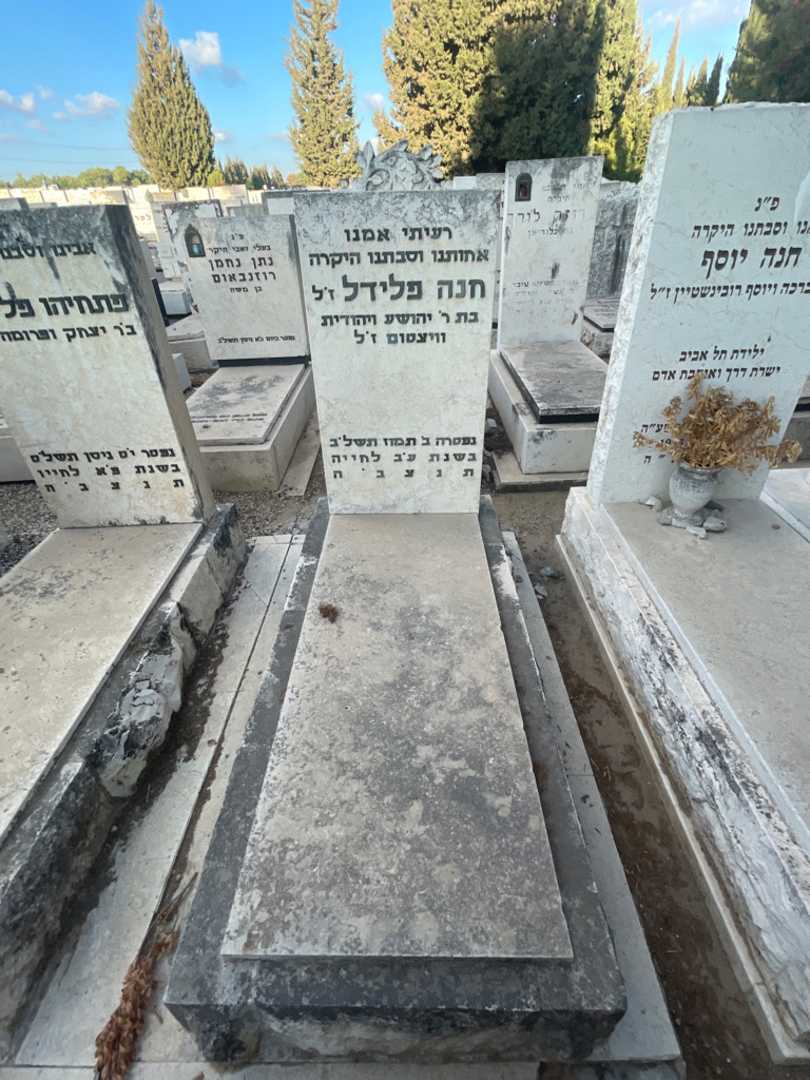 קברו של חנה פלידל. תמונה 2