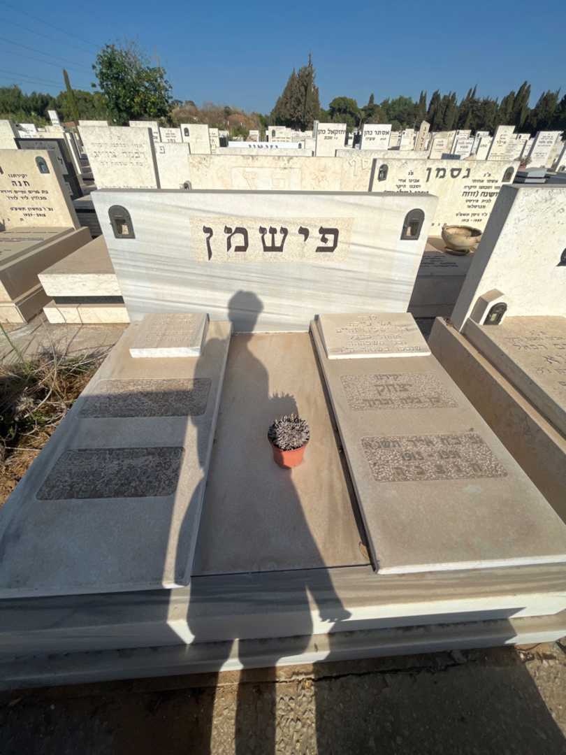 קברו של בתיה פישמן. תמונה 2