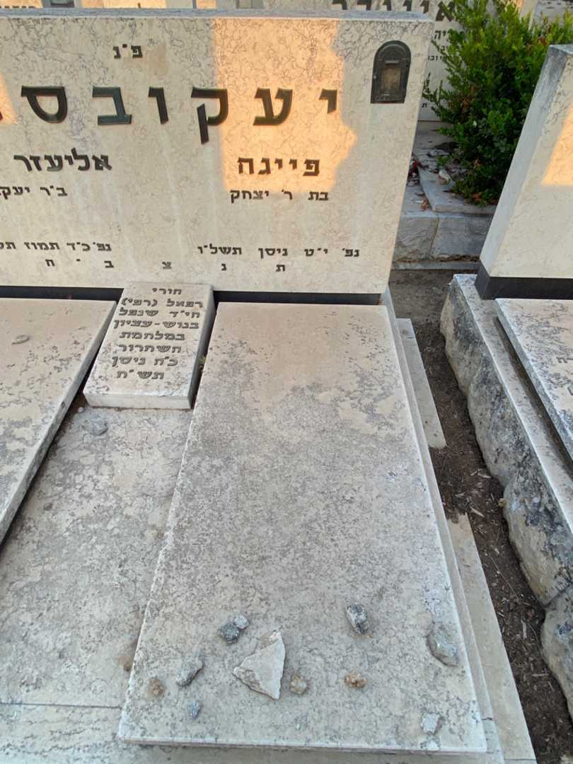 קברו של פייגה יעקובסון. תמונה 2