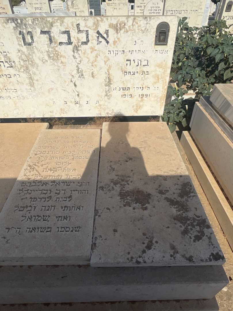 קברו של יצחק טורנפרן. תמונה 2