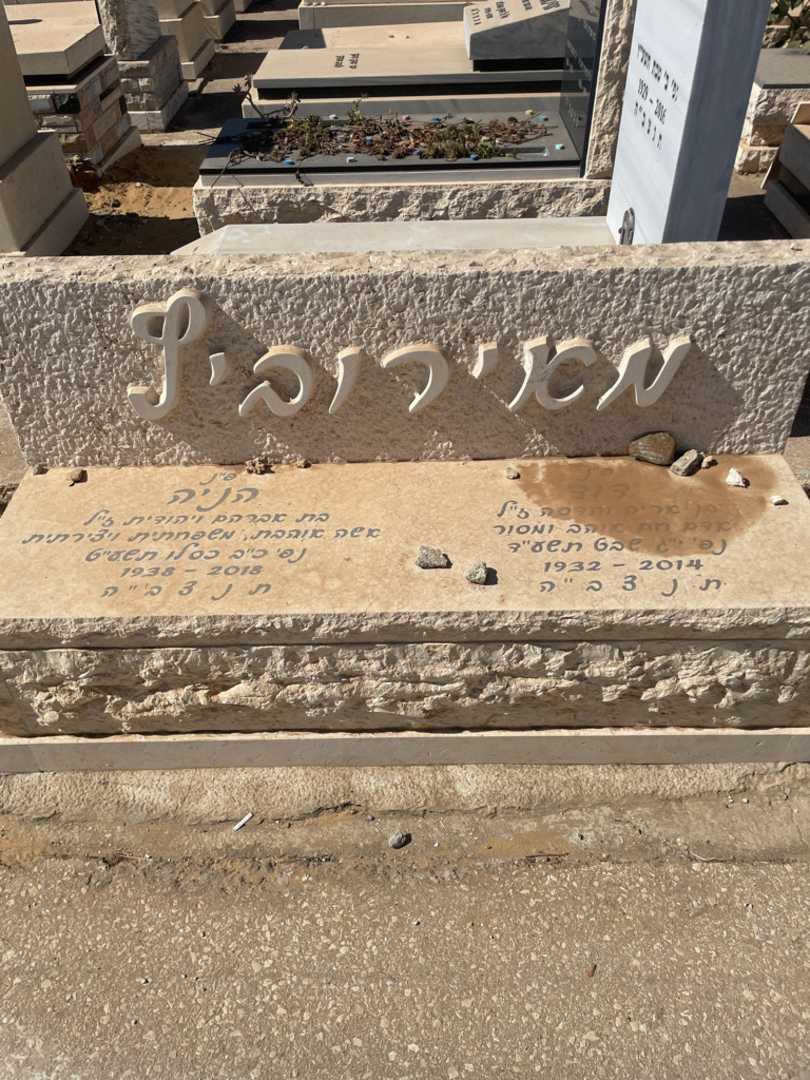 קברו של דוד מאירוביץ