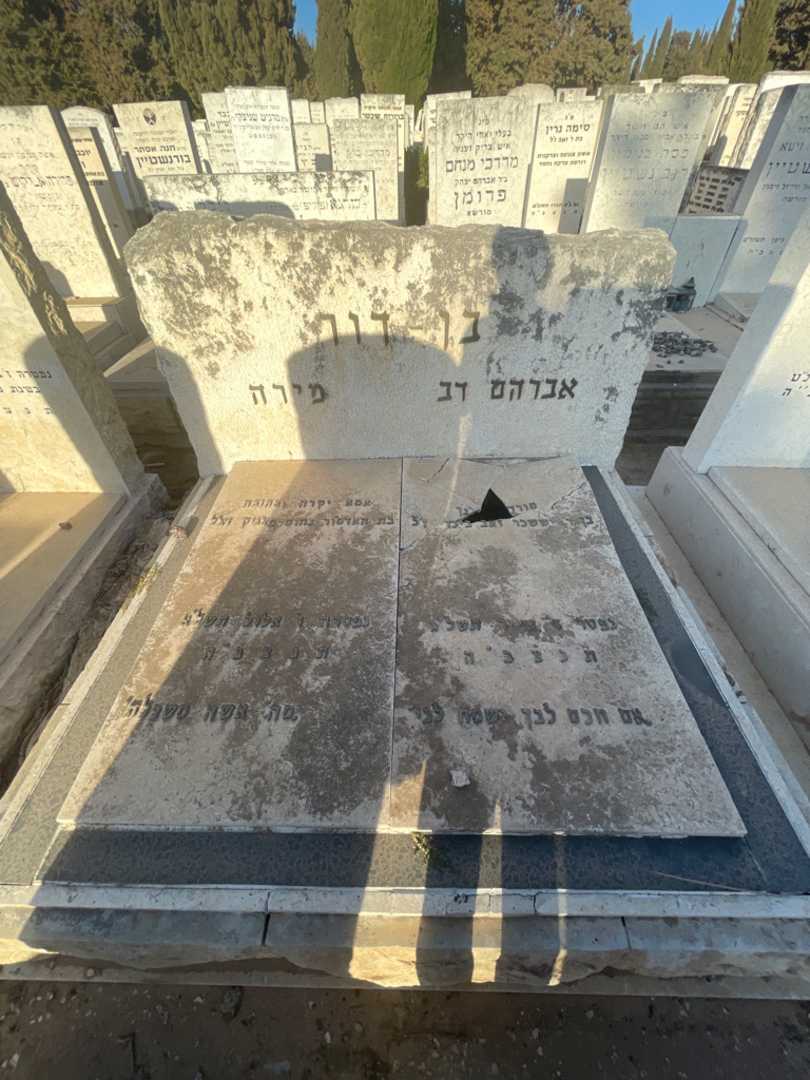 קברו של אברהם דב בן דור. תמונה 1
