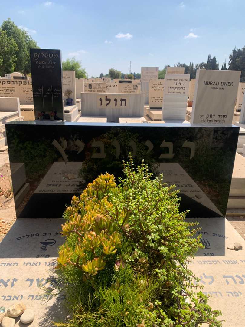 קברו של פנינה לאה רבינוביץ. תמונה 1