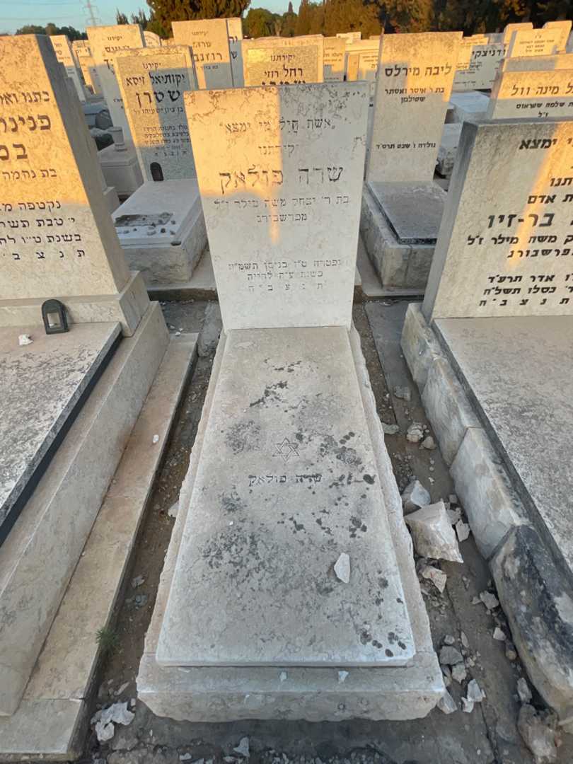 קברו של שרה פולאק