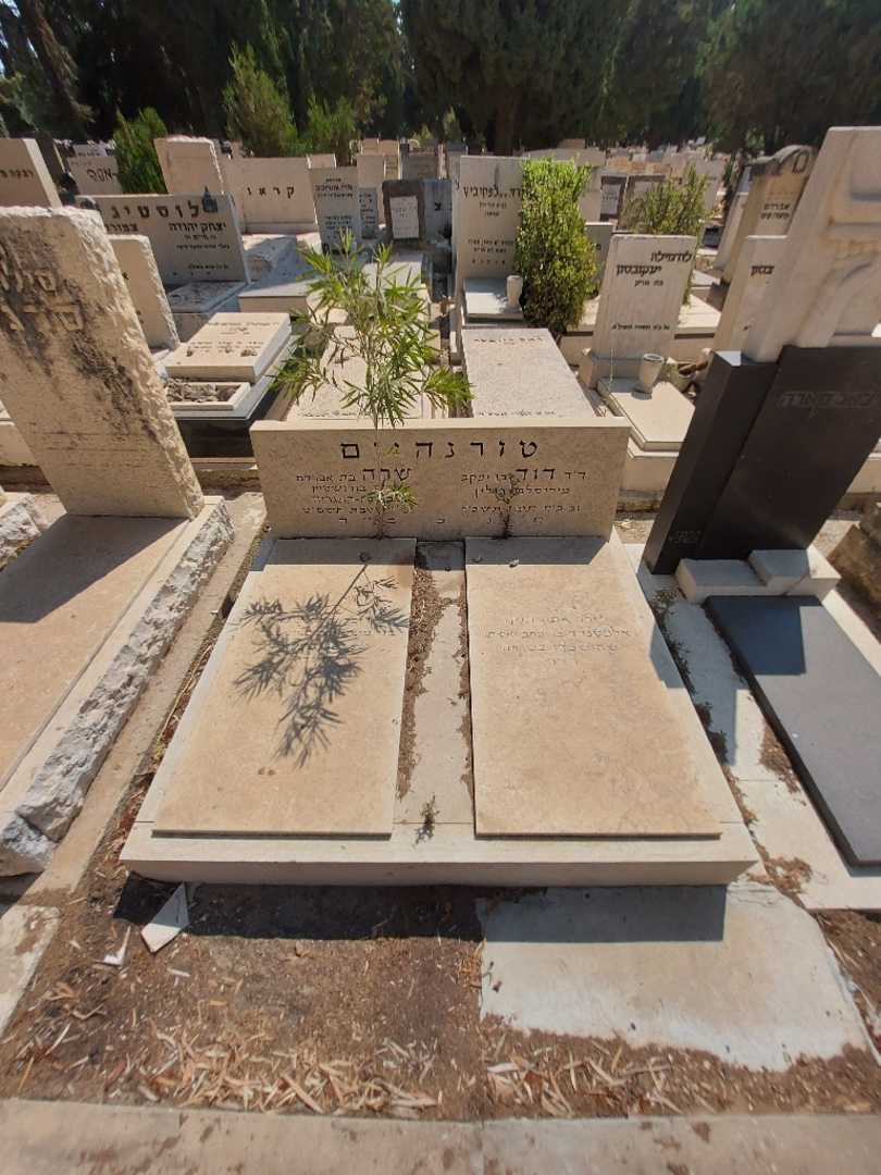 קברו של דוד טורנהיים. תמונה 1