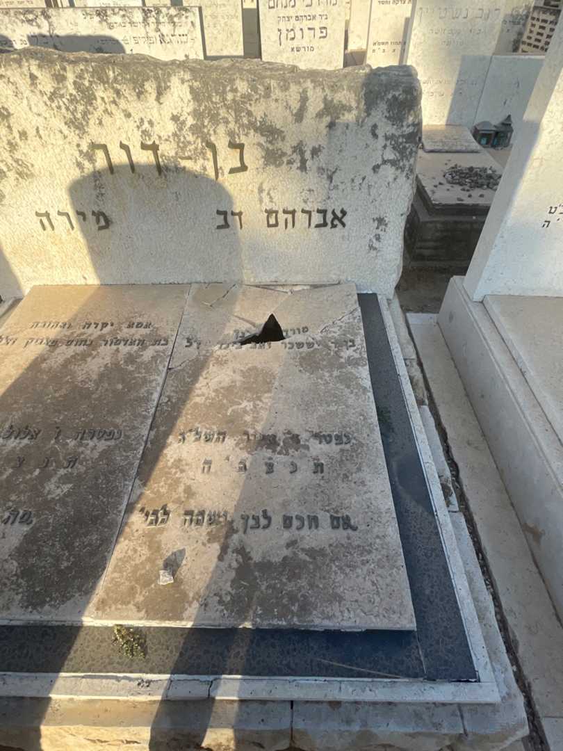 קברו של אברהם דב בן דור. תמונה 2