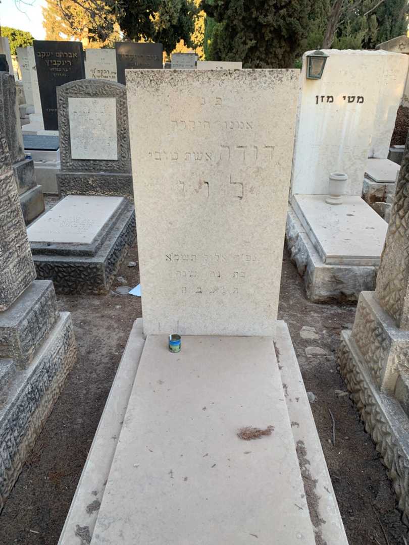 קברו של דודה לוי