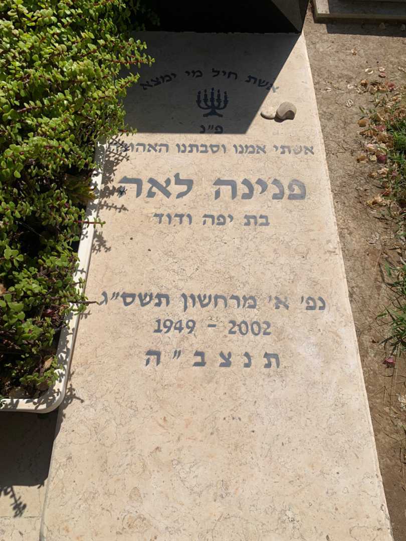 קברו של פנינה לאה רבינוביץ. תמונה 2