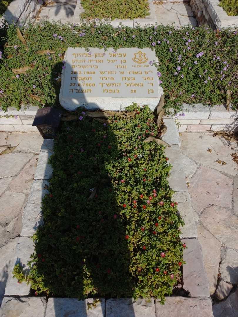 קברו של עמיאל כהן-מלהיוף