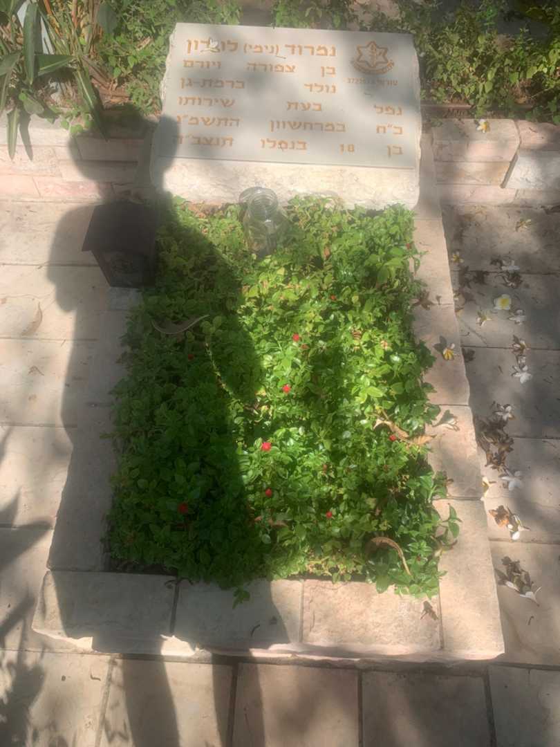 קברו של נמרוד "נימי" לוירון