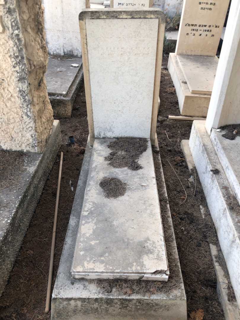 קברו של צבי לישנר. תמונה 1